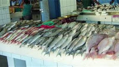 البلطى يستقر.. والسبيط يسجل 50 جنيهًا بسوق العبور