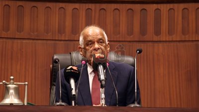 عميد حقوق المنصورة يؤيد مد فترة الرئاسة ويرفض تقليص صلاحيات مجلس الدولة