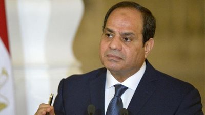 السيسي يكلف بمواصلة جهود تطوير شركات قطاع الأعمال العام