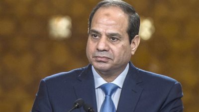 السيسي يكلف برفع كفاءة العاملين وتحسين بيئة العمل