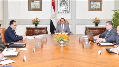 تكليفات السيسي للحكومة اليوم.. تطوير شركات القطاع العام.. تأهيل العنصر البشري.. علاج مليون مواطن أفريقي من فيروس«سي»..إطلاق مرحلة جديدة من «100 مليون صحة» للضيوف المقيمين