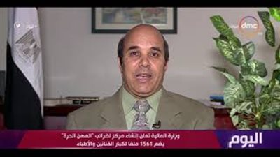 «المهن الحرة»: الثقافة الضريبية لدى المواطن المصري ضعيفة