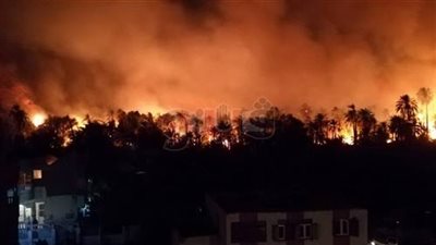 تعويض 200 مزارع في حريق الراشدة بالوادى الجديد