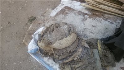 «أم الفحيرة».. لقمة عيش الصعايدة وغذاء الأسماك في الصين (فيديو)