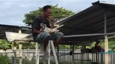 رجل يفر بطعامه من كلاب حاصرته بطريقة غريبة (فيديو)