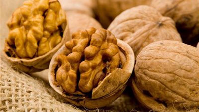 «عين الجمل» علاج طبيعي لأمراض القلب والجلد والاكتئاب