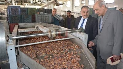 20 مليون جنيه منحة إمارتية لتطوير مجمع التمور بالوادي الجديد (صور)