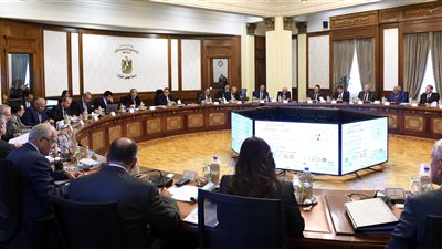 أبرز قرارات مجلس المحافظين.. تركيب عدادات مسبقة الدفع لجميع ملحقات المساجد والكنائس.. إيقاف تصاريح تسيير «التوك توك».. عدم التصالح في مخالفات البناء دون تشطيب الواجهات