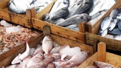 أسعار الأسماك اليوم 22/ 3/ 2019.. وكيلو البلطي بـ 26 جنيها
