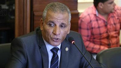 برلماني: قرار السيسي بزيادة الأجور لفتة إنسانية تجاه محدودي الدخل