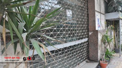 بالصور.. العاملون يغلقون مكاتب البريد بالإسكندرية