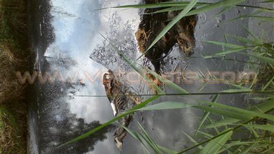 بالصور.. القبض على 3 عاطلين أثناء محاولتهم ذبح حمير بكفر الشيخ