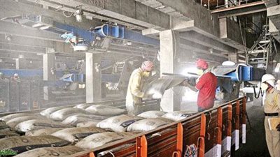 10 معلومات عن صناعة الأسمنت في مصر