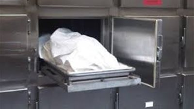 العثور على جثتين مجهولتي الهوية بهما آثار طلقات نارية بالشيخ زويد