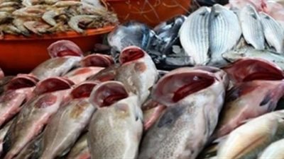 أسعار الأسماك اليوم 24 /3 / 2019.. والبلطي يسجل 26 جنيها
