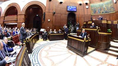 البرلمان: انتهاء إجراءات تعديل الدستور داخل المجلس منتصف أبريل