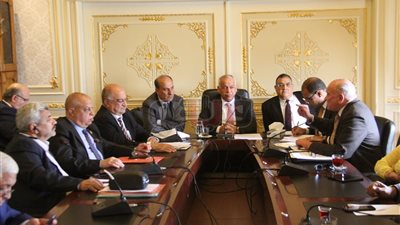 فرج عامر: «تجار التجزئة الإخوان يستوردون أسوأ صلصلة من الصين»