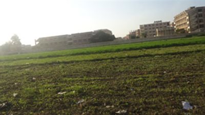 مذكرة برلمانية لإعادة النظر في تقديرات إيجار أراضي الإصلاح الزراعي