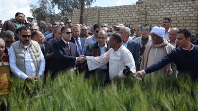 محافظ بني سويف ووزير الزراعة يتفقدان أحد الحقول الإرشادية (صور)