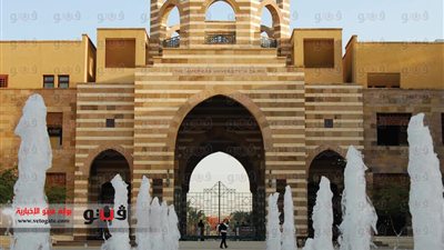 الجامعة الأمريكية بالقاهرة تطلق أكاديمية السباحة للأطفال والكبار