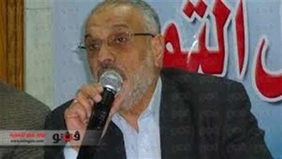قيادي إخواني: الانتخابات البرلمانية الحل الوحيد لأزمة مصر