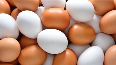 انهيار أسعار البيض في المزارع والأسواق.. والكرتونة تفقد 10 جنيهات