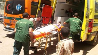 سائق “توك توك” يقتل زميله بمطواة في السنطة لخلاف على أولوية تحميل الركاب