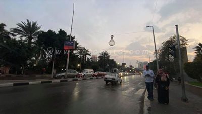 أمطار خفيفة على محافظة الجيزة | فيديو وصور