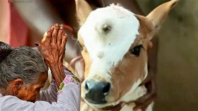 إجبار هندي علي الزواج من قاصر بسبب قتله 