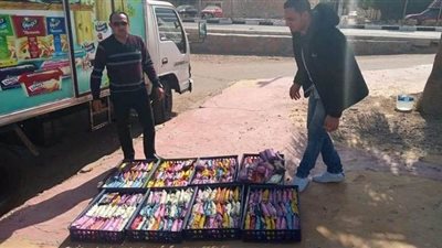 ضبط ٢٥٣ قطعة غذائية فاسدة بطور سيناء | صور