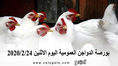 بورصة الدواجن العمومية اليوم الاثنين 2020/2/24