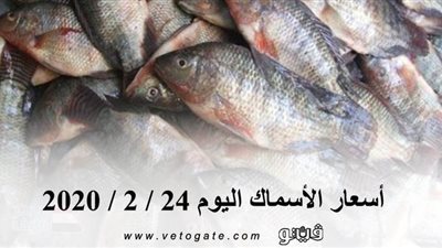 اسعار الأسماك اليوم 24 / 2 / 2020