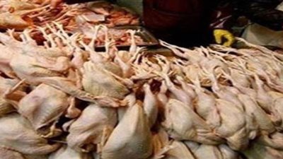 مصادرة 270 كيلو دواجن مجهولة المصدر داخل مطعم شهير بالساحل