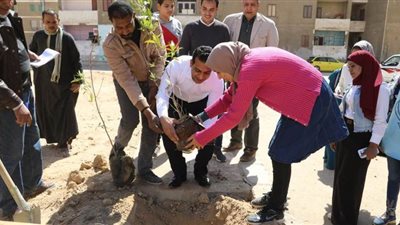 نائب محافظ قنا يشارك فريق بلدى بالألوان زراعة الأشجار | صور