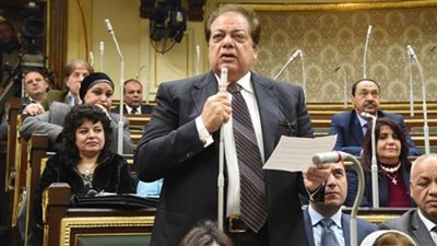 محمد أبو العينين: التاريخ سيكتب عن البرلمان الحالي صفحات من البطولة