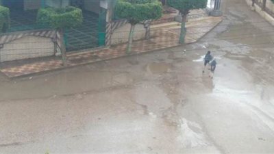 أمطار متوسطة بطوخ فى القليوبية