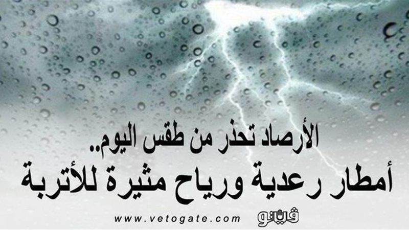 فيتو