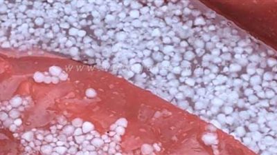 سقوط أمطار ثلجية بالمنوفية| فيديو