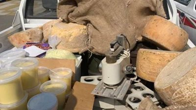 تموين بورسعيد: ضبط كميات من الجبن الأبيض والرومي الفاسد بالقابوطي | صور