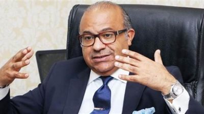 عشماوي: حجم العمالة بالقطاع الخاص يصل لـ33%