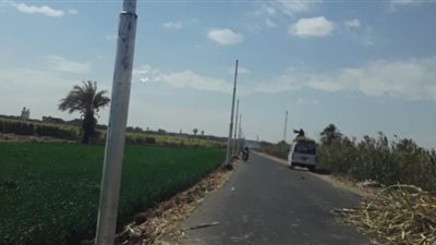 رفع 305 أطنان مخلفات وتراكمات قمامة فى 4 مدن بقنا | صور