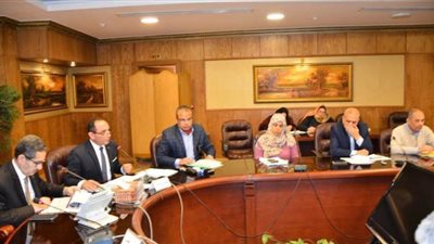 محافظ الغربية يأمر بإزالة معوقات تطوير المزلقانات وحصر المعديات | صور