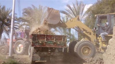 رفع 190 طن مخلفات وزراعة 100 شجرة في ٣ مدن بقنا | صور