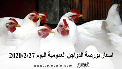 اسعار بورصة الدواجن العمومية اليوم 2020/2/27