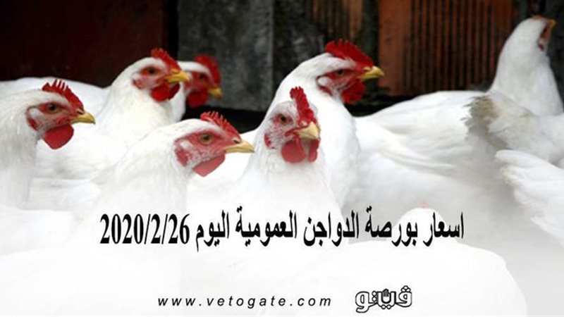 فيتو