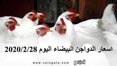 اسعار الدواجن البيضاء اليوم 2020/2/28