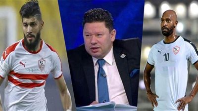 رضا عبد العال: 