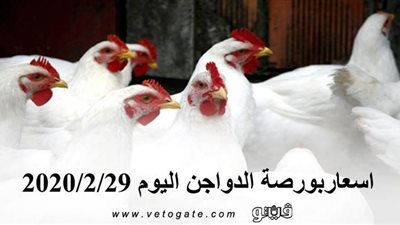 اسعار بورصة الدواجن اليوم 2020/2/29