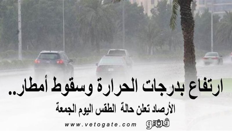 فيتو