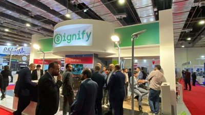 سيجنفاي مصر ومؤسسة 